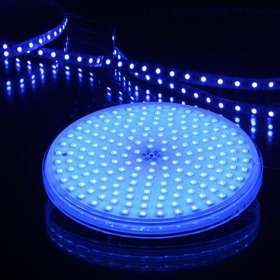wall mounted LED light